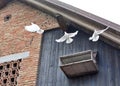 Pigeons fly out of cage on a barn Royalty Free Stock Photo