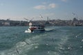 Pigeons fly in sky over the sea in Istanbul Royalty Free Stock Photo