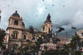 Pigeons flying above Plaza Murillo in Bolivia