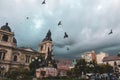 Pigeons flying above Plaza Murillo in Bolivia