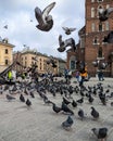 Pigeons flying away from the square