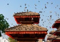 Pigeons flying at Durbar Square in Kathmandu Royalty Free Stock Photo