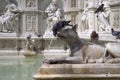 Pigeons on the Fonte Gaia fountain, Siena (Italy)