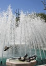 Pigeons are in the fountain Royalty Free Stock Photo
