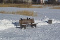 Pigeons on a frozen bench. Royalty Free Stock Photo