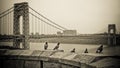 Pigeons at George Washington Bridge Royalty Free Stock Photo
