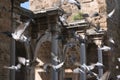 Pigeons at Hadrian gate of old town Antalya