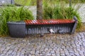 Pigeons that have taken shelter from rain under a bench