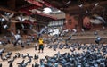 Pigeons in Kathmandu Durbar Square, Nepal Royalty Free Stock Photo