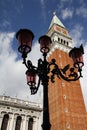 Pigeons Lampost Biblioteca Campanile- Venice Italy