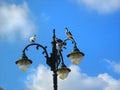 Pigeons on lamppost