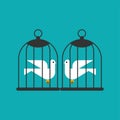 Pigeons lovers in cage. Concept bonded love. dove in locked cage