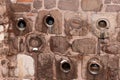 Pigeons nesting in holes in an old stone wall. Ankara Catle, Ankara, Turkey