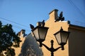 Pigeons on old street lantern, an atmospheric cityscape