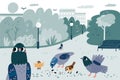 Pigeons in park. Cute street doves and sparrows pecking grain. City birds eating seeds. Urban bench, lanterns and trees Royalty Free Stock Photo