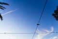 Pigeons perched on electric wires against the blue sky at sunset, copy space Royalty Free Stock Photo