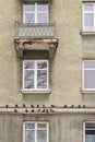 Pigeons perched in line along the ledge of house Royalty Free Stock Photo