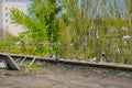 Pigeons on the roof Royalty Free Stock Photo