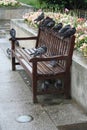 Pigeons roosting on a bench Royalty Free Stock Photo