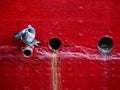 Pigeons on ship hull Royalty Free Stock Photo