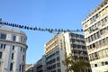 Athens, Greece: Pigeons sitting on electric wires in a street of the centre of Athens, Greece