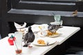 Pigeons are squandering the left over food Royalty Free Stock Photo