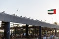 Pigeons stand in the roof of open air seafood market with waving UAE flag near Palm Deira metro station in Dubai Royalty Free Stock Photo