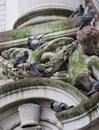 Pigeons on the statue of St. Paul at Saint Paul`s Cathedral Royalty Free Stock Photo