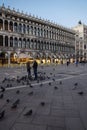 Pigeons and tourists, Piazzo San Marco, Venice, Italy