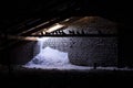 Pigeons on a truss in the attic of a building, flying in through a hole in the roof, where a snowdrift was piled up