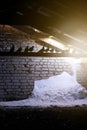 Pigeons on a truss in the attic of a building, flying in through a hole in the roof, where a snowdrift was piled up