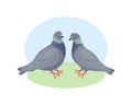 Pigeons. Two pigeons look at each other. Pigeon and dove. Urban birds. Vector illustration on a white background