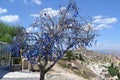 The pigeons valley in Cappadocia region Royalty Free Stock Photo