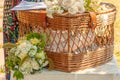 pigeons in a woven basket Royalty Free Stock Photo