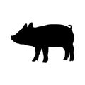 Piggie baby pig farm mammal black silhouette animal.