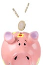 Piggy Royalty Free Stock Photo