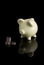 Piggy Bank 1035 Royalty Free Stock Photo