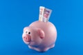 Piggy Bank