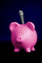 Piggy Bank Royalty Free Stock Photo