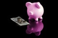 Piggy Bank Royalty Free Stock Photo