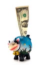 Piggy bank Royalty Free Stock Photo