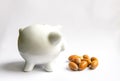 Piggy bank with acorns. White ceramic moneybox