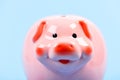 Piggy bank adorable pink pig close up. Accounting and family budget. Finances and investments bank. Bank deposit