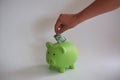 Piggy Bank with $100 Australian dollar banknote. Royalty Free Stock Photo