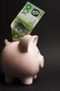 Piggy Bank with Australian hundred dollar note - vertical.