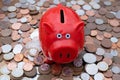 Piggy bank on background of uk coins, savings or budget concept