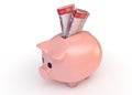 Piggy Bank With Banknotes