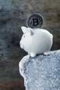 Piggy bank with bitcoin on stone cliff