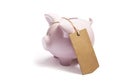 Piggy bank with blank tag tied with string. Royalty Free Stock Photo