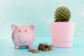 Piggy bank on a blue background, next to a cactus in a pink pot. A bunch of coins. Royalty Free Stock Photo